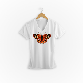 T SHIRT BORBOLETA 100 ALGODAO