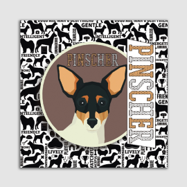 PLACA DECORATIVA PET MDF 20X20 PINCHER
