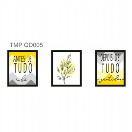 KIT 3 QUADROS ANTES E DEPOIS AMARELO