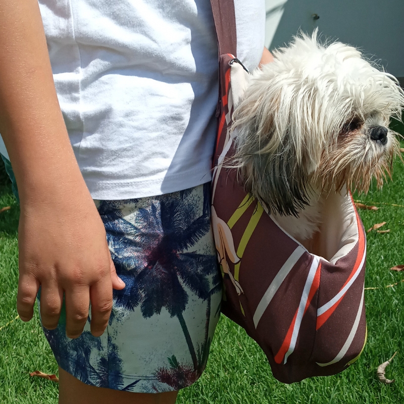 Bolsa de Transporte Pet 